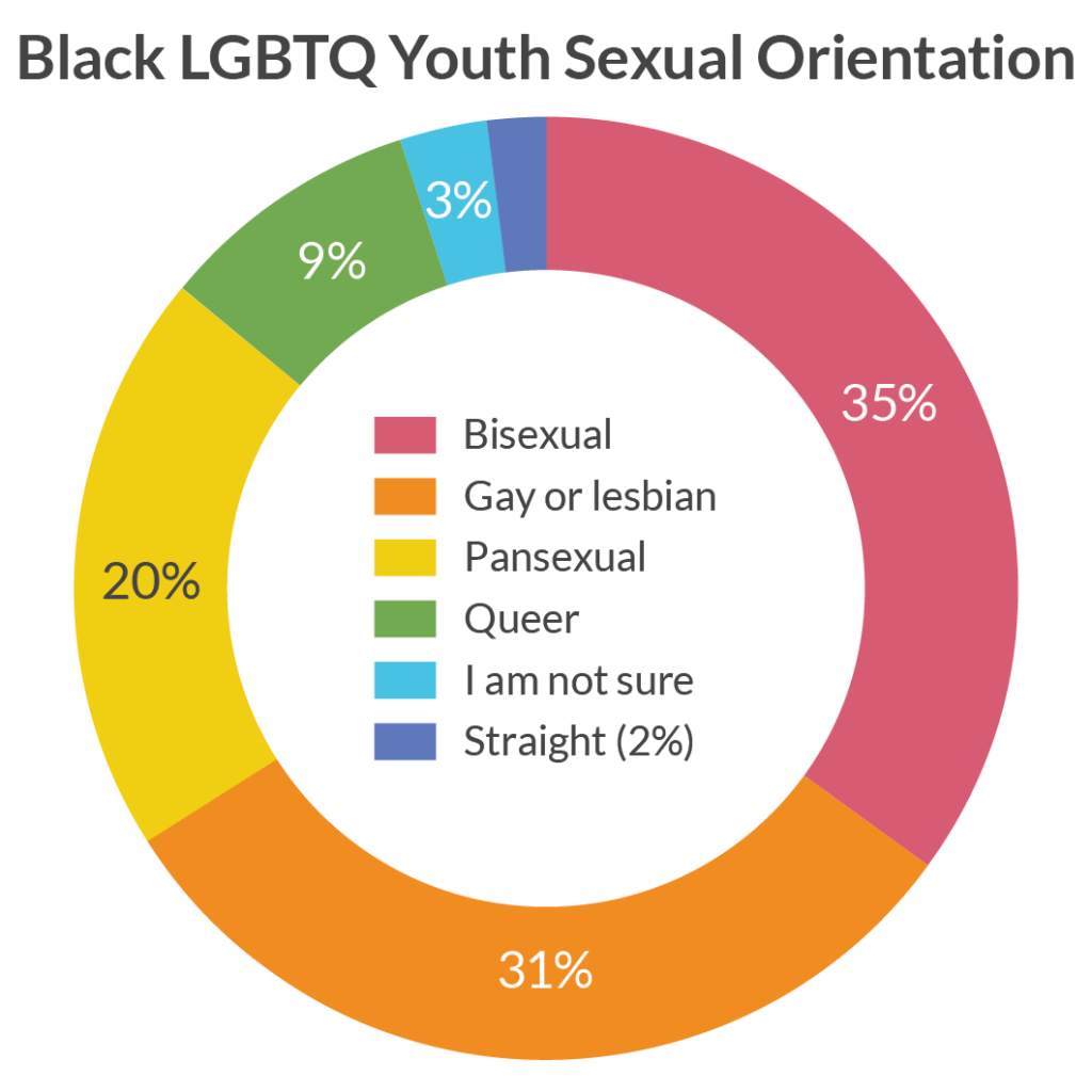 Black LGBT Youth Sexual Orientation Chart