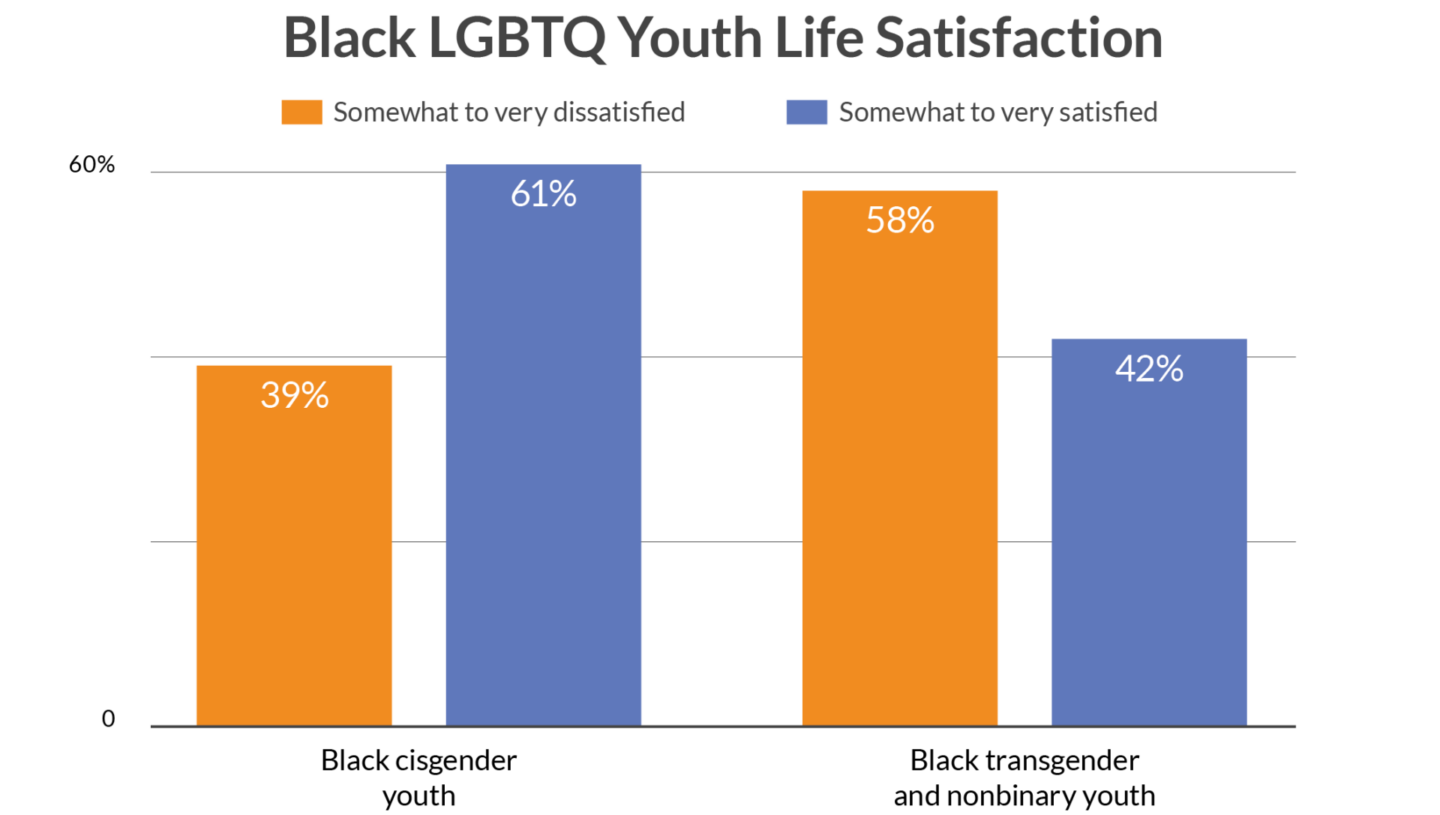 Black LGBTQ Youth Life Statistics