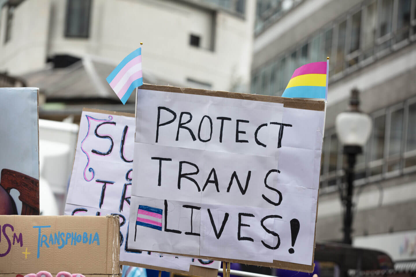 A close-up of a protest sign decorated in transgender and pansexual pride flags that reads, “Protect Trans Lives!”