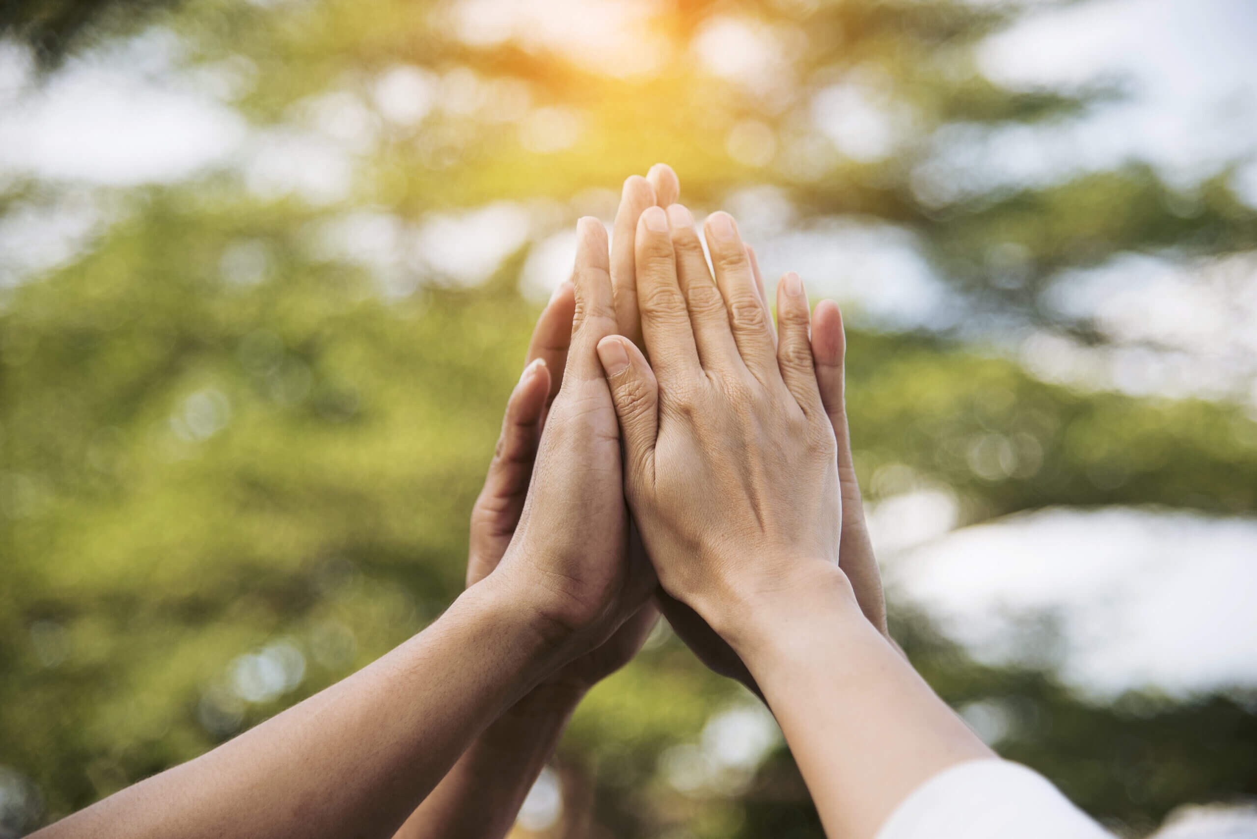 A close up of hands in a group high-five.