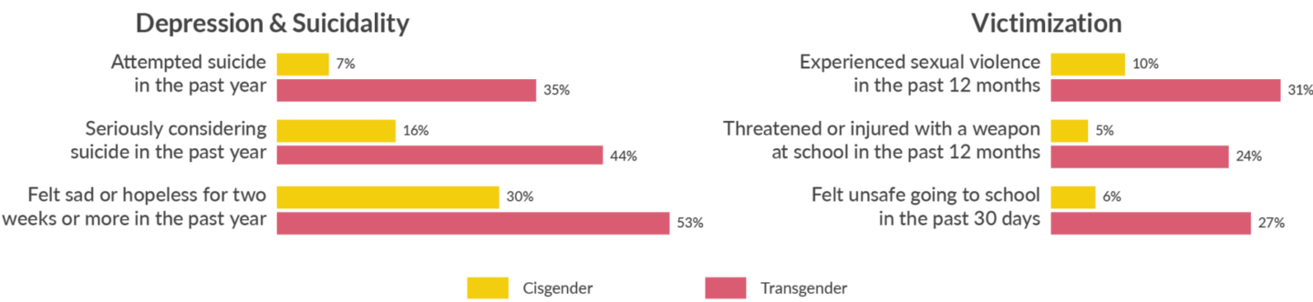 Depression Suicide and Victimization Statistics Chart