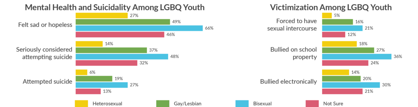 Mental Health Victimization Among LGBQ Youth