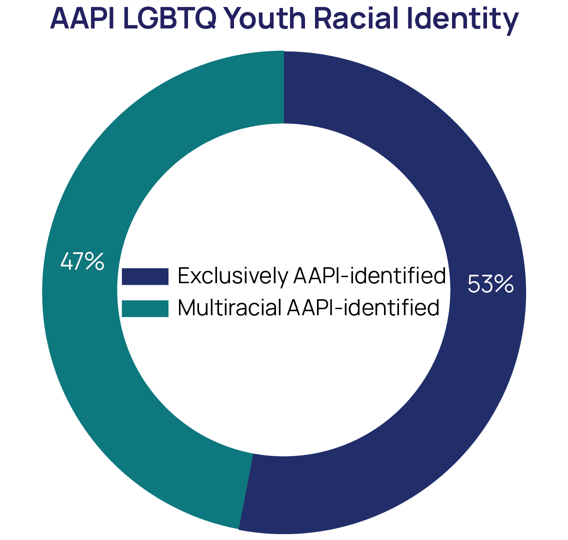AAPI LGBTQ Youth Racial Identity Chart