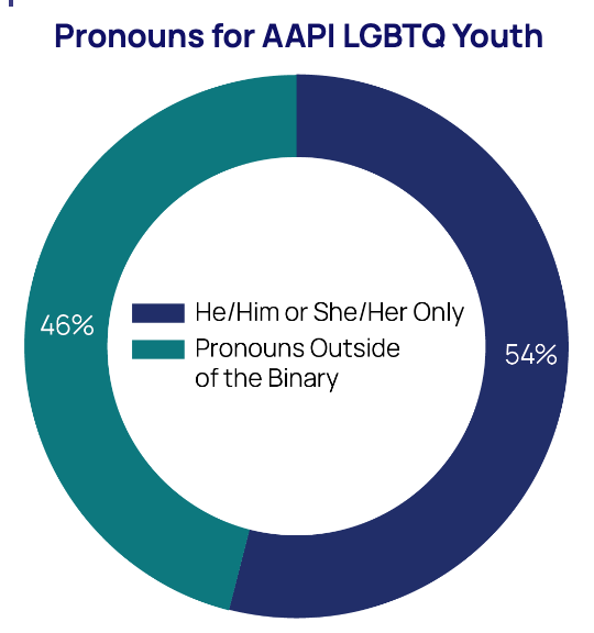 Pronouns for AAPI LGBTQ Youth