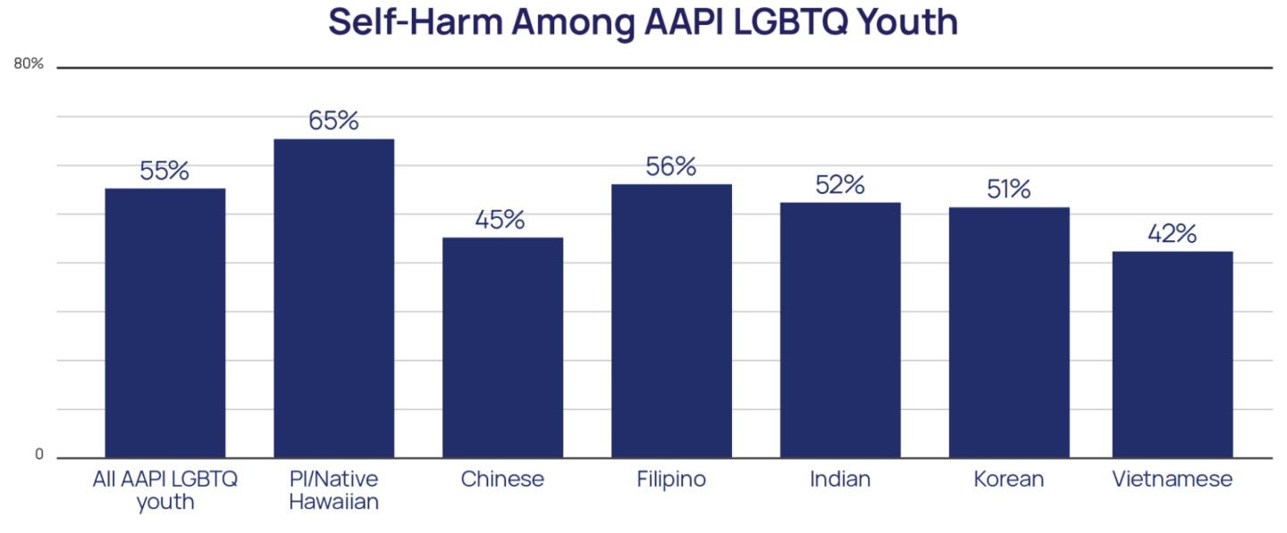Self-Harm Among AAPI LGBTQ Youth