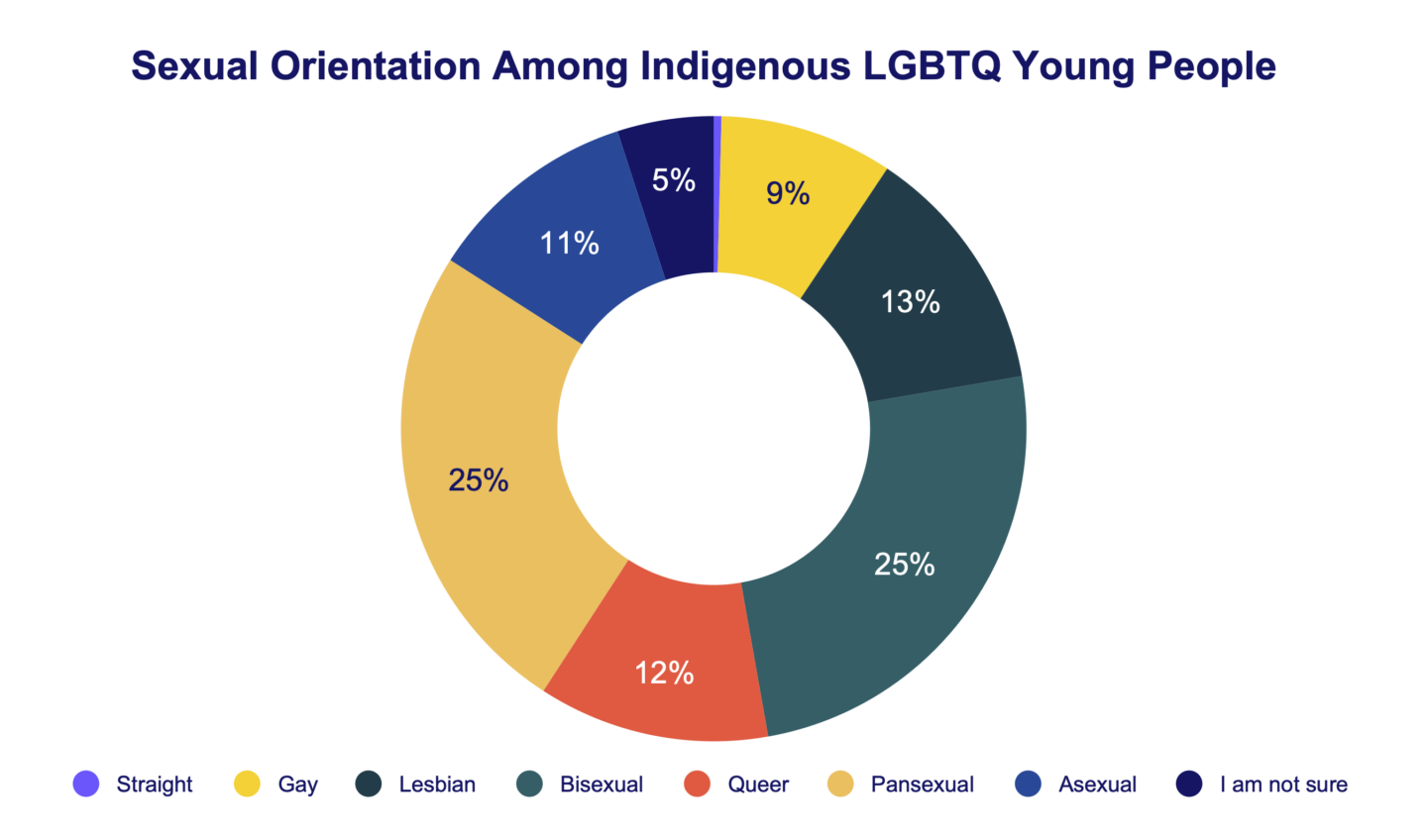 Sexual Orientation Among Indigenous LGBTQ Young People