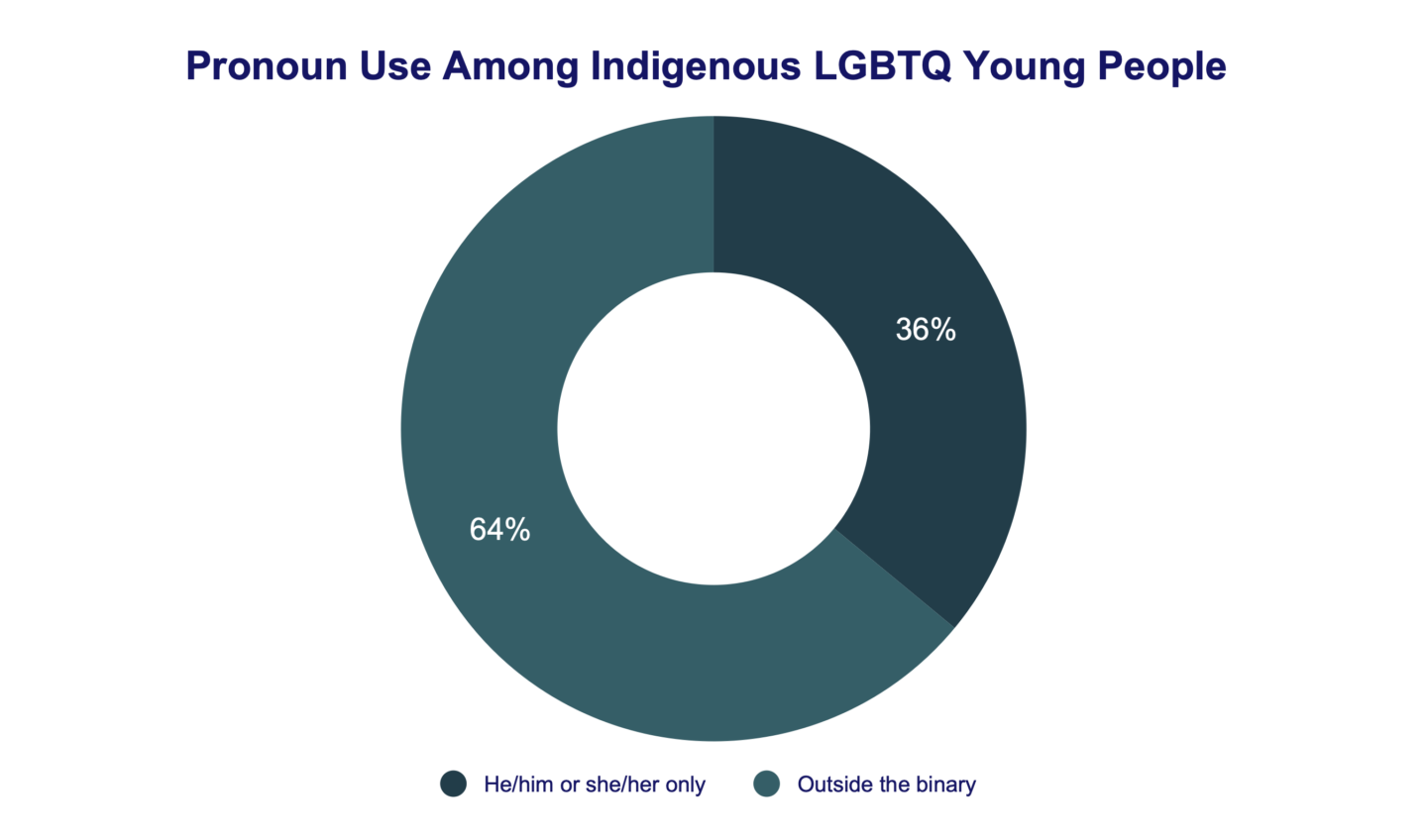 Pronoun Use Among Indigenous LGBTQ Young People