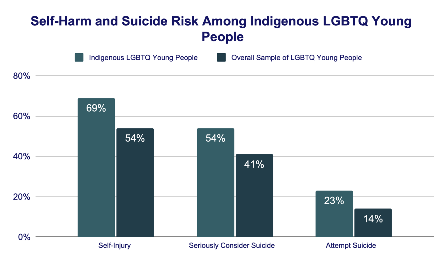 Self Harm and Suicide Risk Among Indigenous LGBTQ Young People
