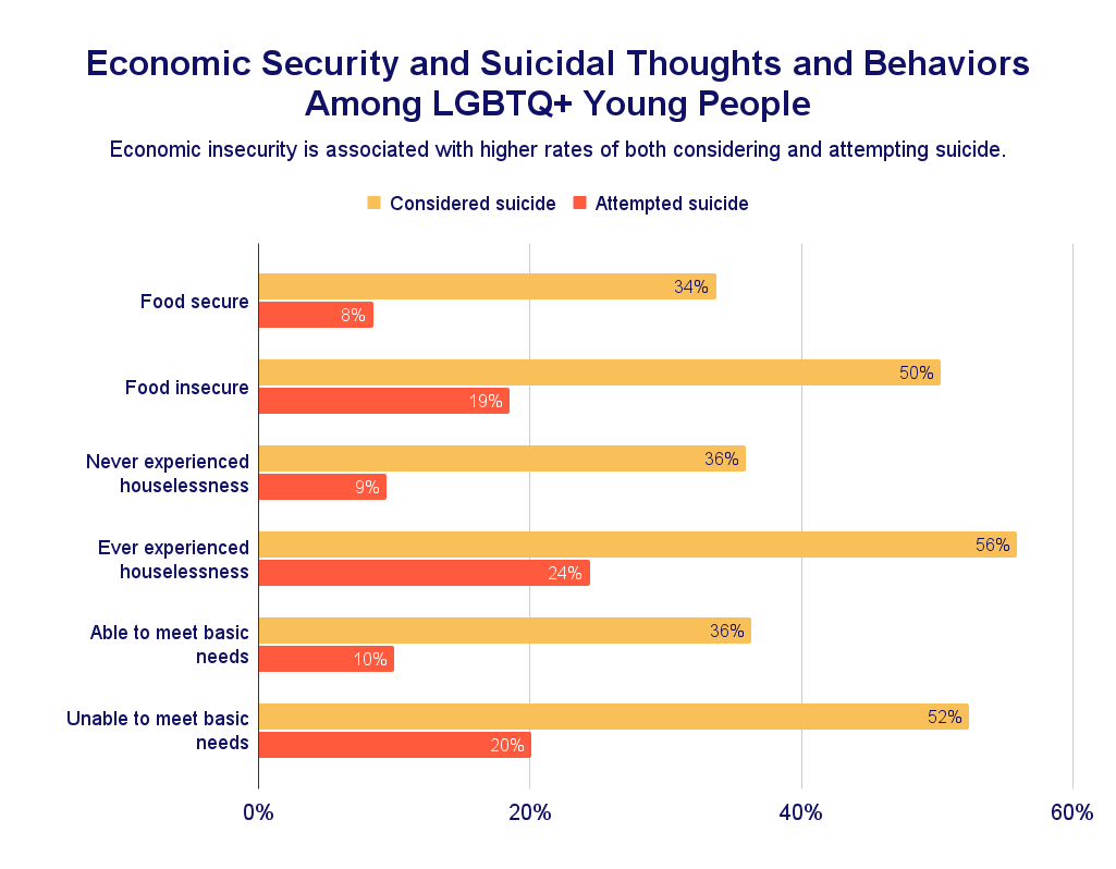 Economic Security and Suicidal Thoughts and Behaviors Among LGBTQ+ Young People chart